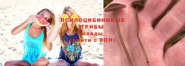 трава Новодвинск