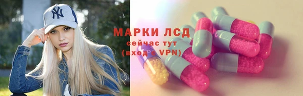 гидра Няндома