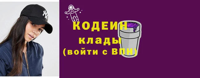 гидра Няндома