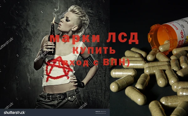 трава Новодвинск