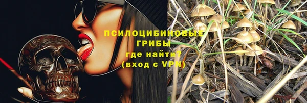 СК Новозыбков