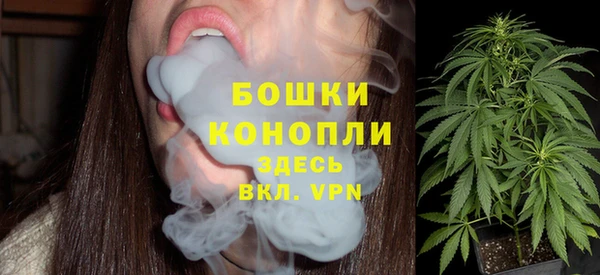 СК Новозыбков