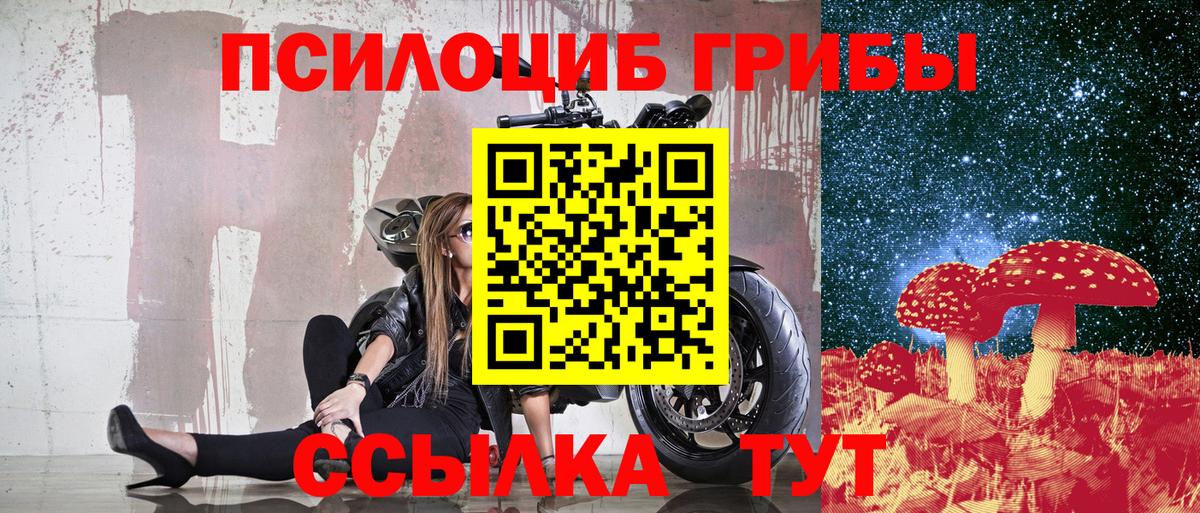 Галлюциногенные грибы Cubensis Белгород